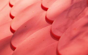 Tremedda plastic roof costs